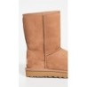 UGG Classic Short II 1016223 | Design Minimaliste